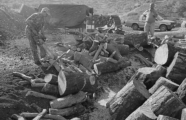 &copy; Thodoris Tzalavras - Charcoal producers in Cyprus