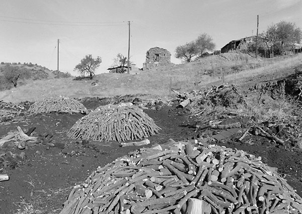 &copy; Thodoris Tzalavras - Charcoal producers in Cyprus