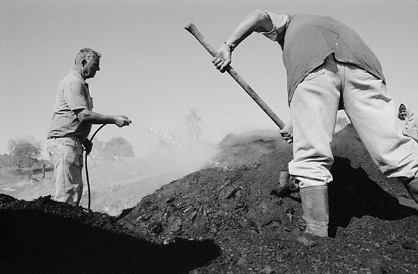 &copy; Thodoris Tzalavras - Charcoal producers in Cyprus