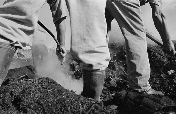 &copy; Thodoris Tzalavras - Charcoal producers in Cyprus