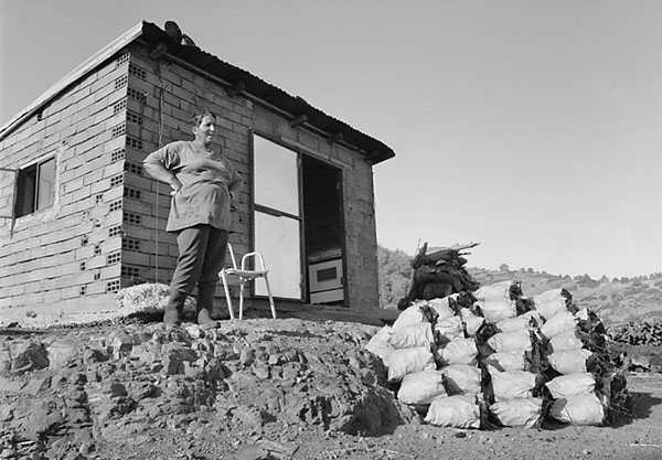 &copy; Thodoris Tzalavras - Charcoal producers in Cyprus