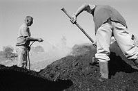 &copy; Thodoris Tzalavras - Charcoal producers in Cyprus